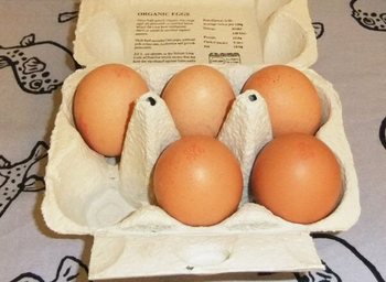 生食可の卵2.jpg